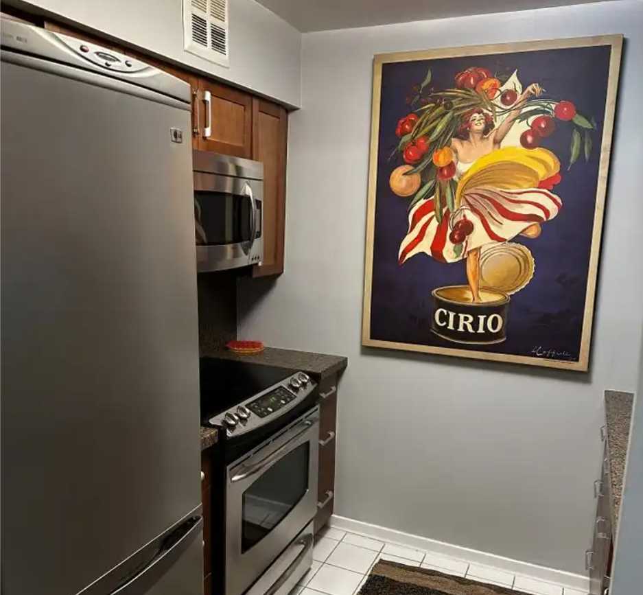 Renovated & Fully Furnished 1B1B at 1055 Bay St - photo 5